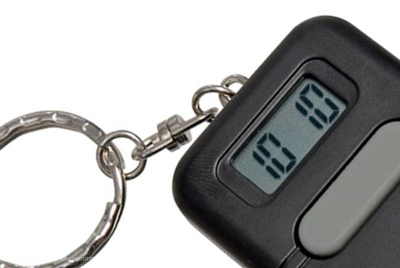 Talking Key Chain - Square - English or Spanish Voice