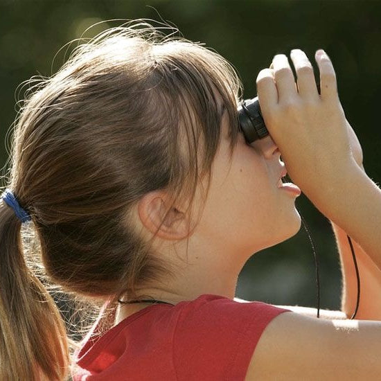 Cómo Usar los Telescopios Monoculares para Ver de Lejos