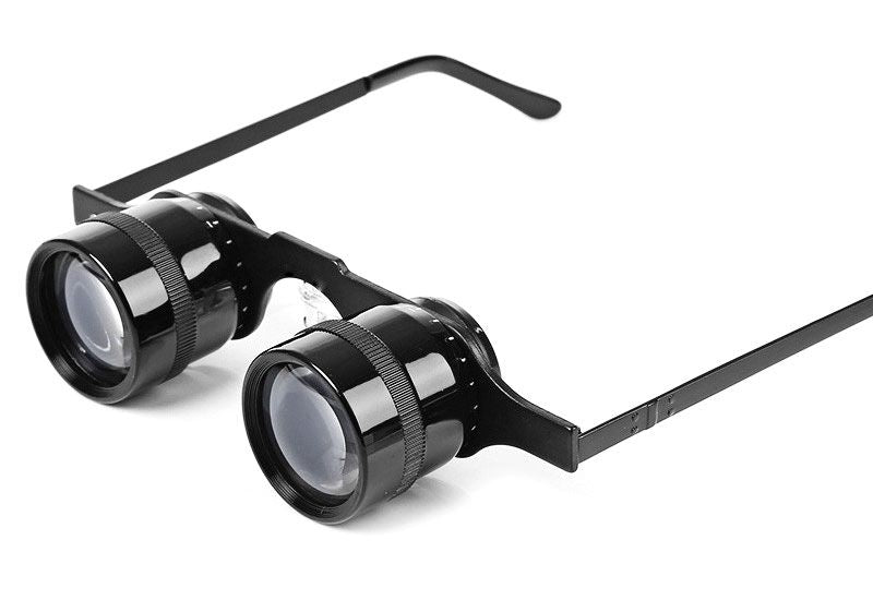 Moveable Spectacles Telescopic Spectacle 3.5 x Low vision devices | Free Shipping — Low ...