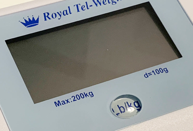 Talking Bathroom Scale - Bi-lingual - English or Spanish Voice